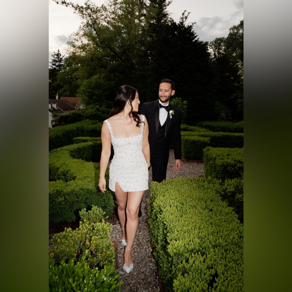 Clip Peppiatt Bridal Crystal Dress - Picture 5 of 5
